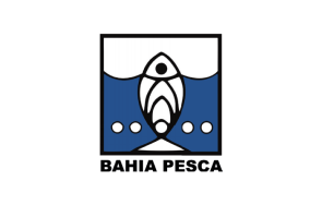 Bahia Pesca